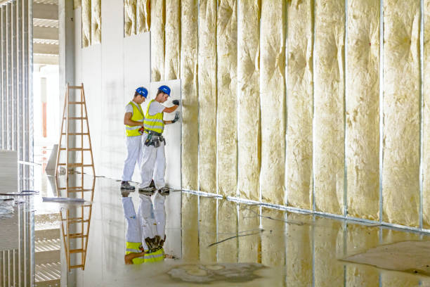 Best Basement Insulation  in Mahanoy City, PA